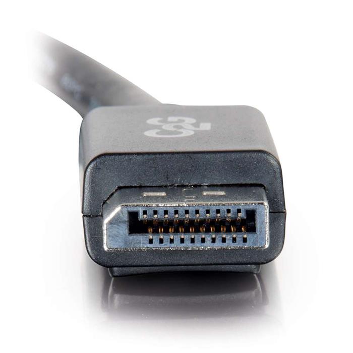 产品图片 DisplayPort Cable with Latch.jpg