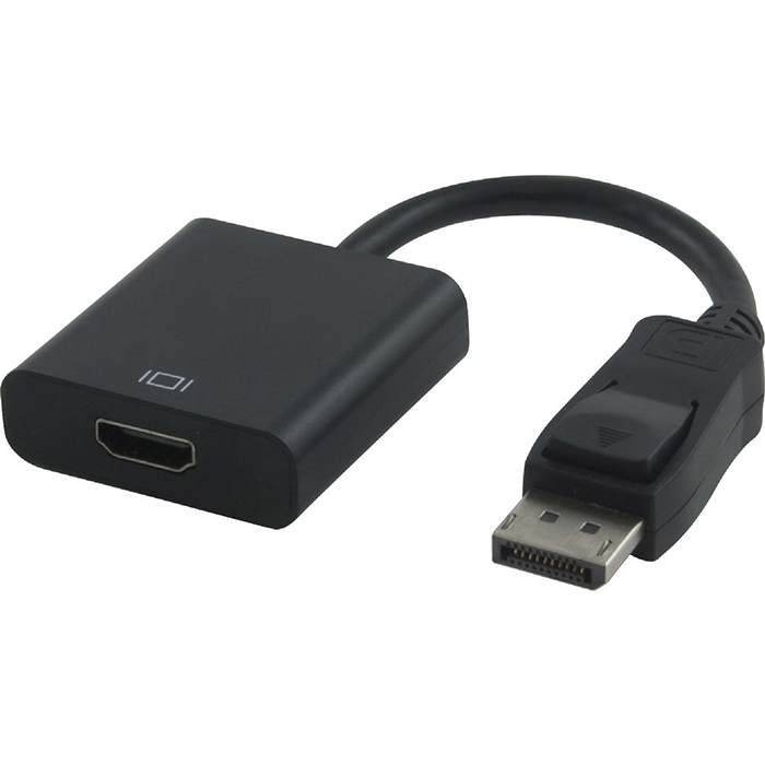 产品图片 DisplayPort Cable Adapter.jpg